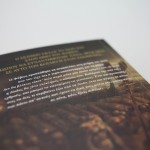 total-war-destroy-carthage-book-5