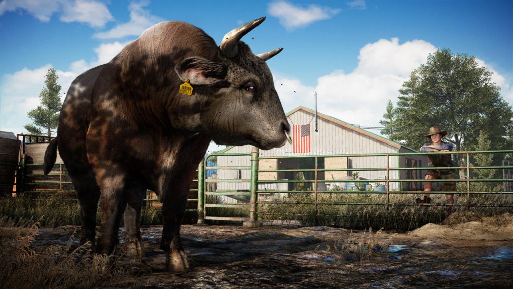 Far Cry 5 (3)