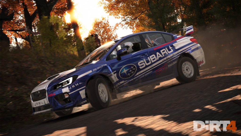 DiRT 4 (10)